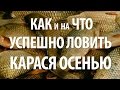 Ловля карася осенью