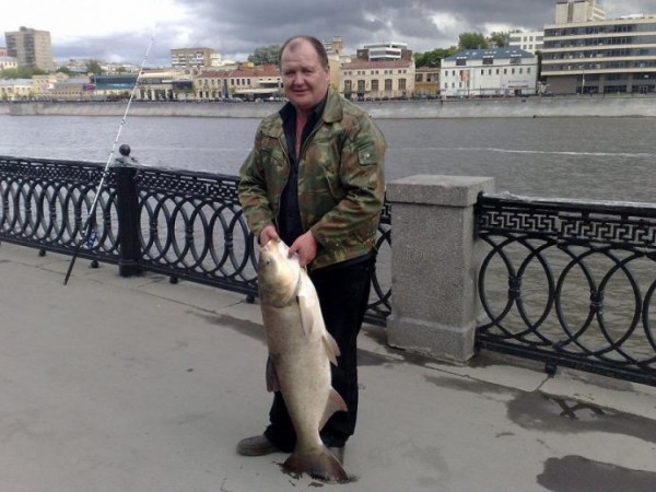 Бесплатная рыбалка в подмосковье, карты водоемов
