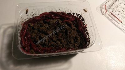 Ловля карпа осенью — снасти и наживка