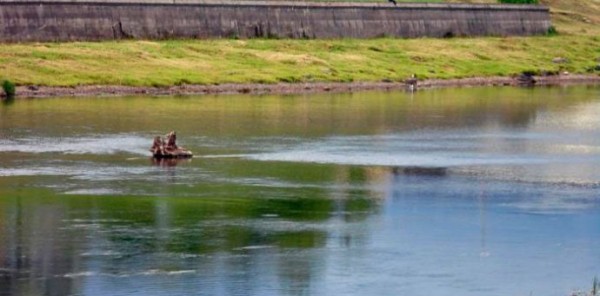 Бесплатная рыбалка в подмосковье, карты водоемов