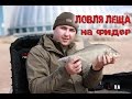 Ловля леща весной на фидер