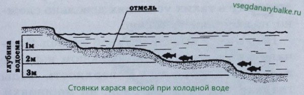Ловля карася весной – секреты хорошей рыбалки