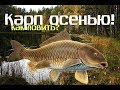 Ловля карпа осенью — снасти и наживка
