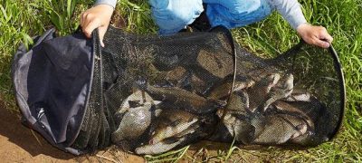 Ловля леща осенью – тонкости и хитрости