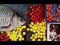 Ловля карася весной – секреты хорошей рыбалки
