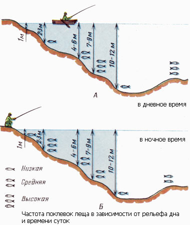 Ловля леща осенью – тонкости и хитрости