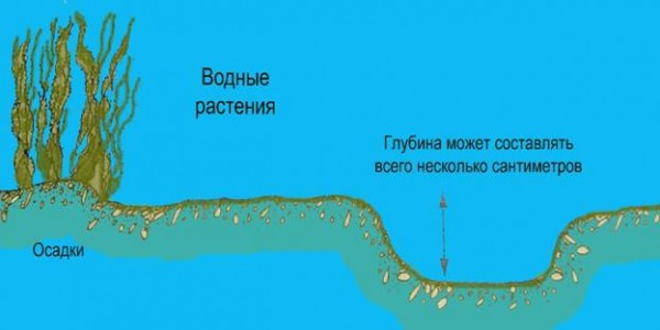 Ловля карпа осенью — снасти и наживка