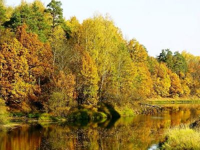 Ловля карпа осенью — снасти и наживка