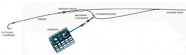 Ловля белого амура — эффективные способы