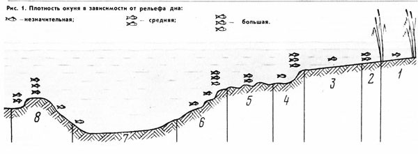 Ловля окуня весной