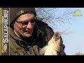 Ловля карпа весной на прудах и реках