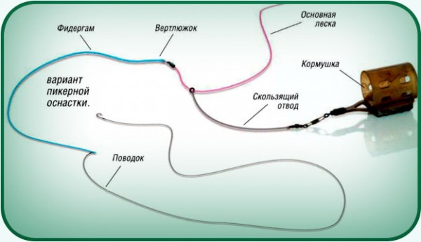 Ловля леща осенью – тонкости и хитрости