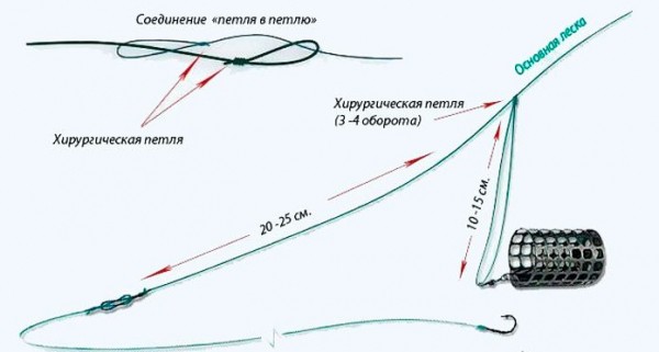 Ловля карпа весной на прудах и реках