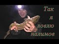 Ловля налима осенью на донные снасти