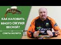 Ловля окуня весной