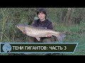 Ловля белого амура — эффективные способы