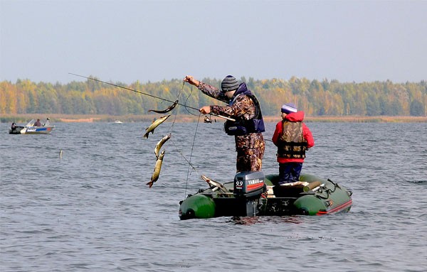 Бесплатная рыбалка в подмосковье, карты водоемов