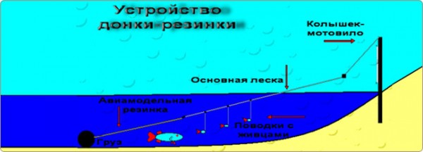Рыбалка на резинку