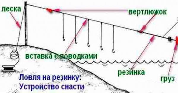 Рыбалка на резинку