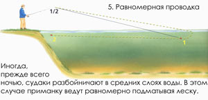 Спиннинговые проводки, их способы и методы
