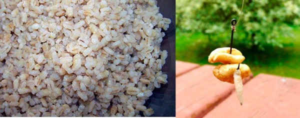 Перловка для рыбалки