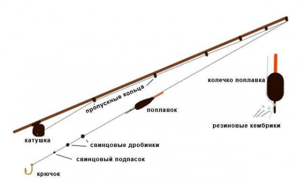 Ловля линя на поплавочную удочку