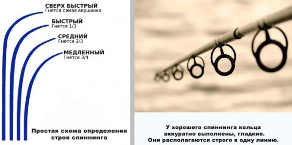 Как выбрать спиннинг на окуня