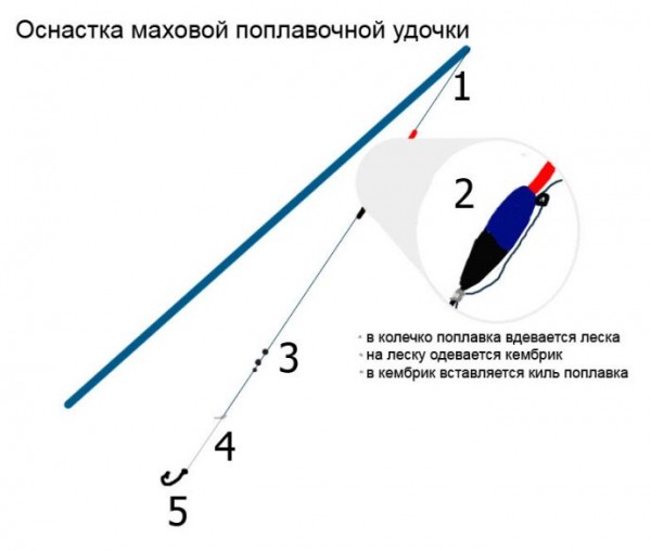 Ловля уклейки на поплавочную удочку