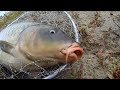 Снасти для ловли карася — рейтинг лучших