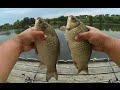 Ловля карася летом — снасти и прикормка