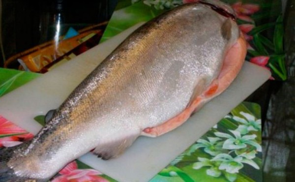 Как вкусно посолить красную рыбу
