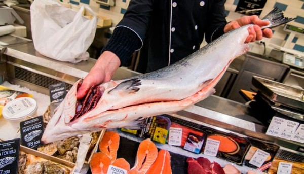 Как вкусно посолить красную рыбу