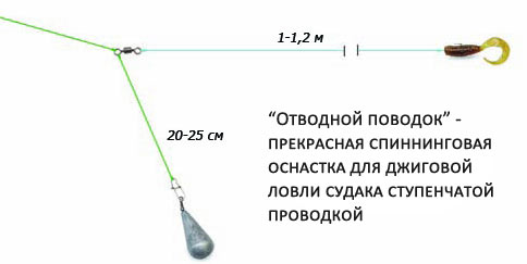 Ловля судака на спиннинг