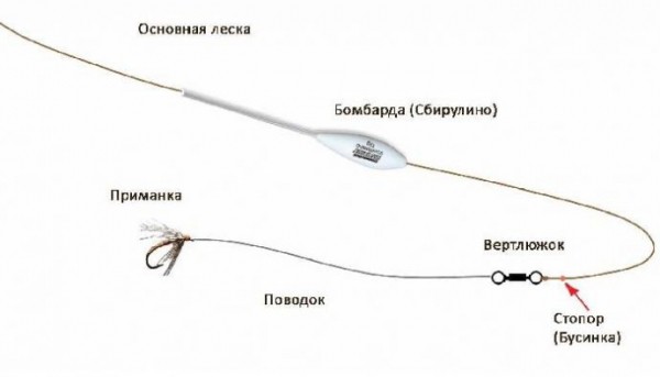 Поплавок сбирулино (бомбарда): монтаж оснастки и техника ловли