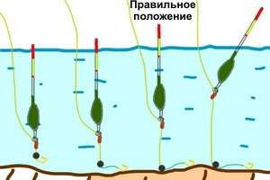Ловля линя на поплавочную удочку