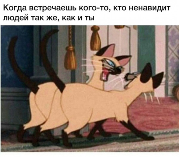 Подборка картинок (37 фото)