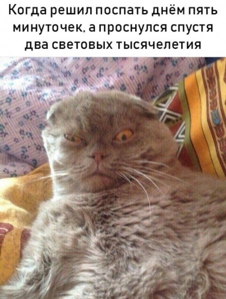 Подборка картинок (30 фото)