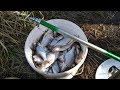 Ловля на мормышку летом