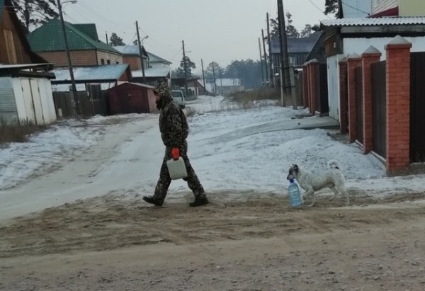 Подборка картинок.  (28 фото)