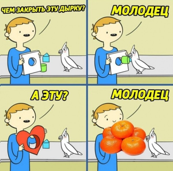 Подборка картинок.  (28 фото)