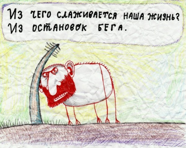 Подборка картинок.  (36 фото)