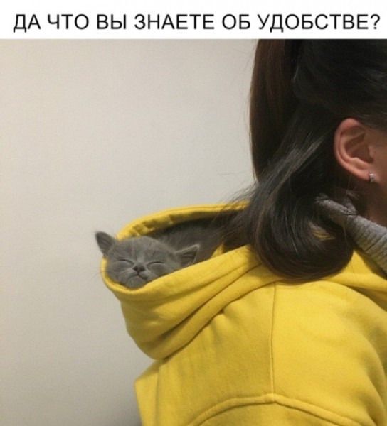 Подборка картинок (20 фото)