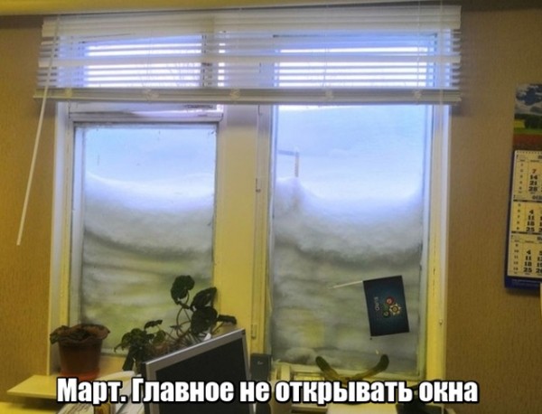 Подборка картинок. (25 фото)