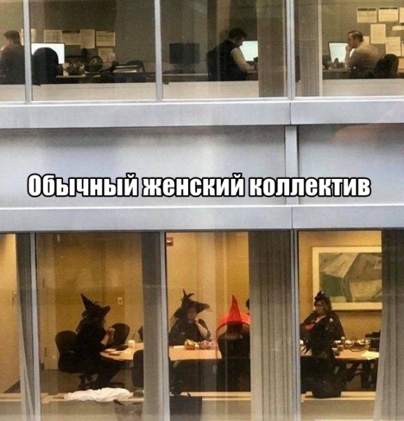 Подборка картинок.  (36 фото)