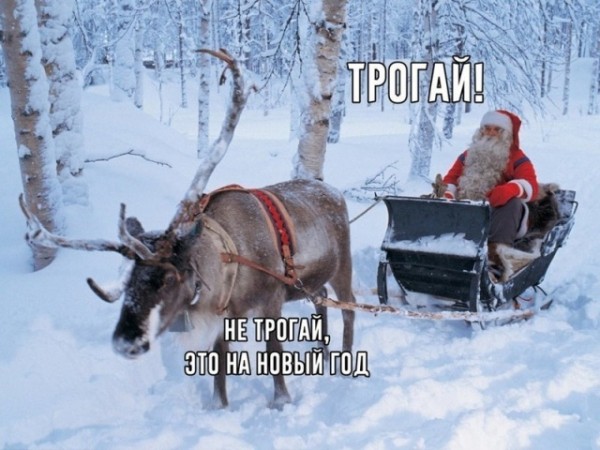 Подборка картинок.  (28 фото)