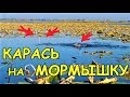 Ловля на мормышку летом