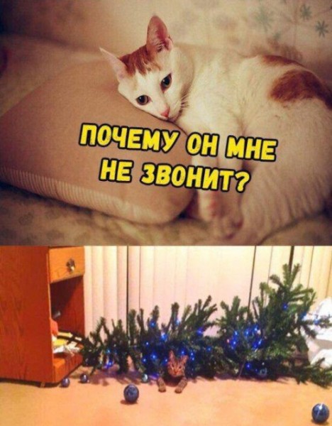 Подборка картинок.  (28 фото)