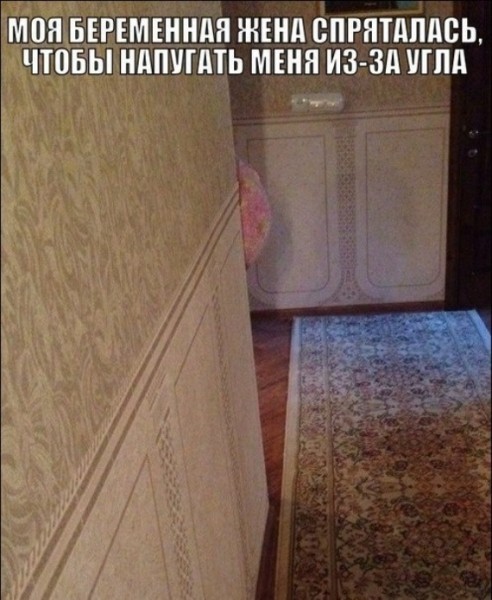 Подборка картинок.  (37 фото)
