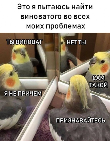 Подборка картинок. Дневной выпуск (30 фото)