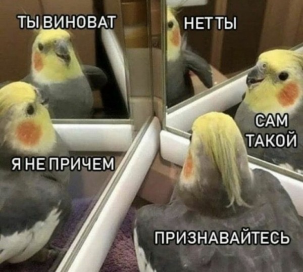 Подборка картинок.  (37 фото)